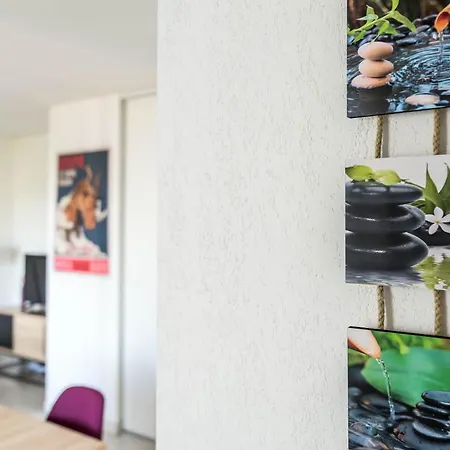 La Loge Du Minotaure, Parking Et Bureaux Apartment Toulouse Exterior photo